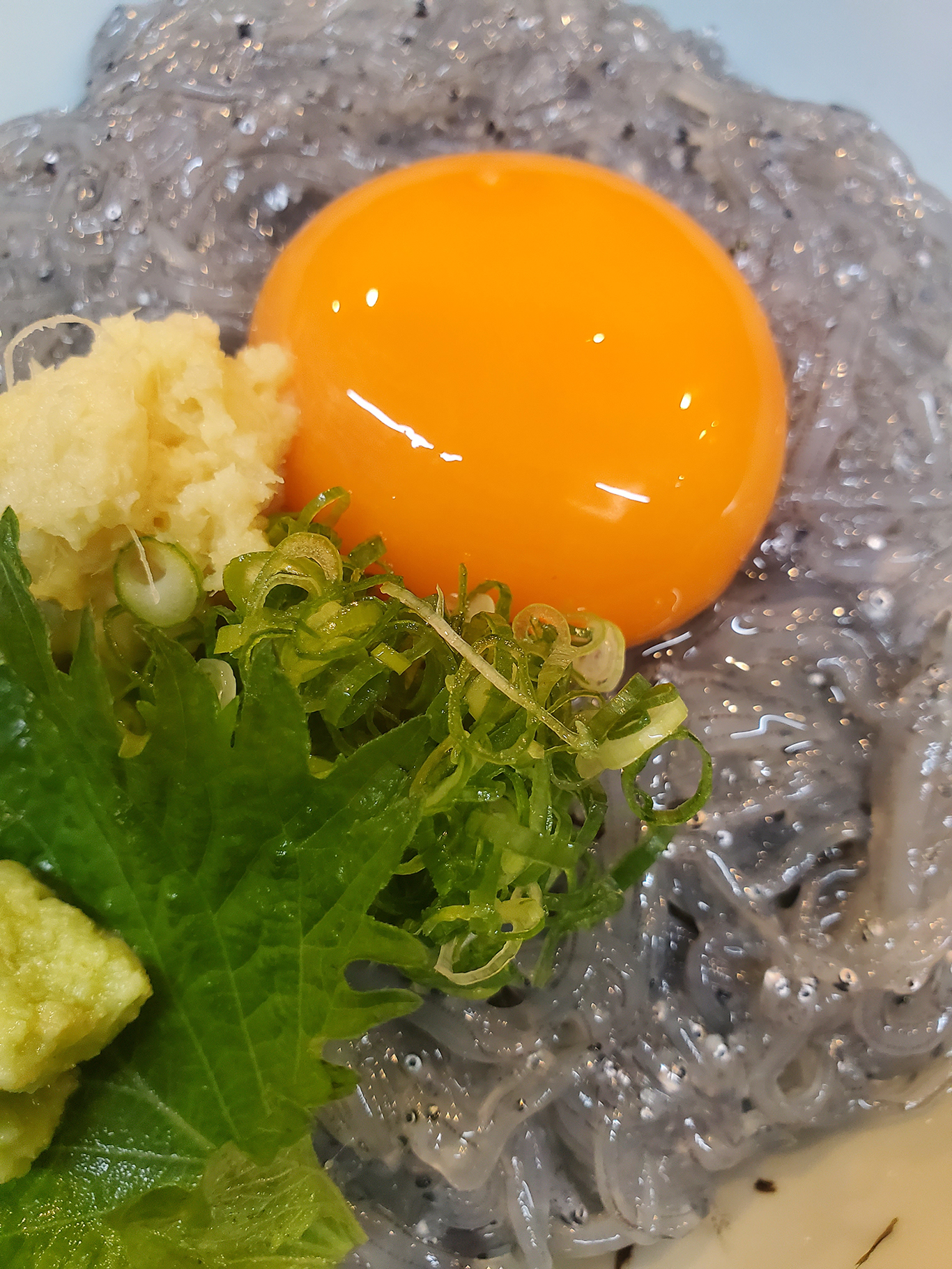 期間限定!生しらす丼販売中